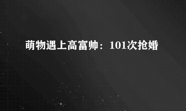 萌物遇上高富帅：101次抢婚