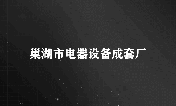 巢湖市电器设备成套厂