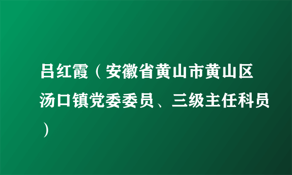 吕红霞（安徽省黄山市黄山区汤口镇党委委员、三级主任科员）