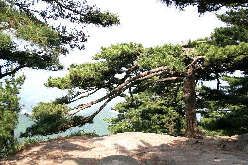 黄冈市浠水三角山风景区