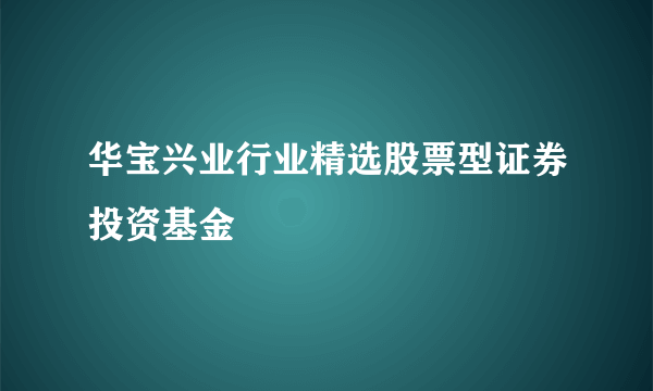 华宝兴业行业精选股票型证券投资基金