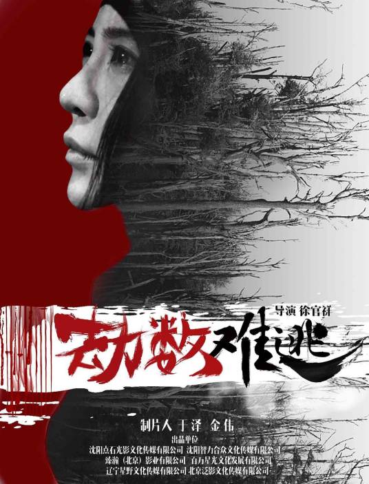 劫数难逃（中国2019年徐官祥执导电影）