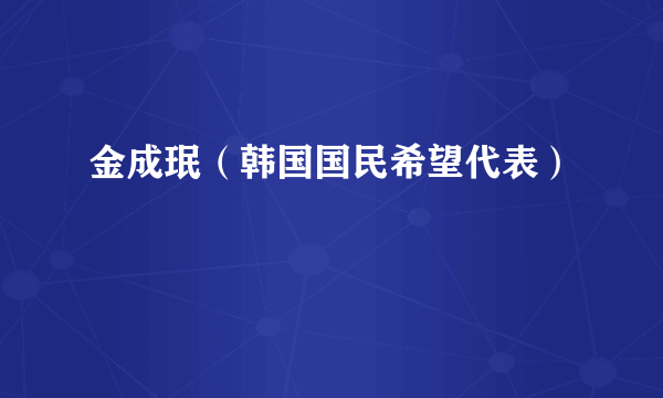 金成珉（韩国国民希望代表）