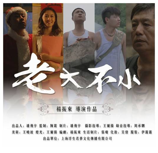 老大不小（2014年杨振东执导电影）