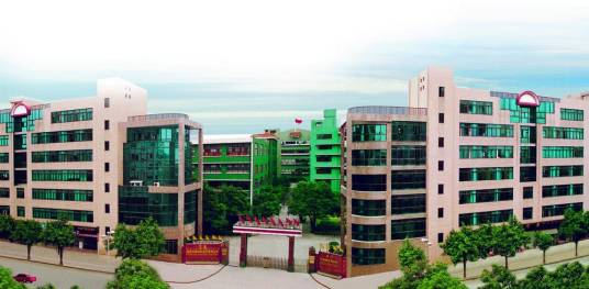 福建龙溪轴承（集团）股份有限公司