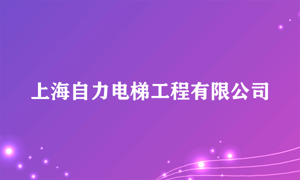 上海自力电梯工程有限公司