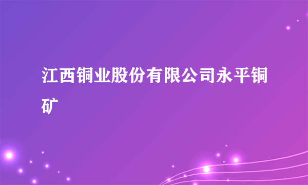 江西铜业股份有限公司永平铜矿