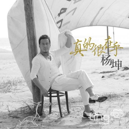 真的很在乎（杨坤的专辑）
