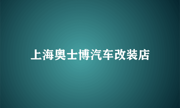上海奥士博汽车改装店