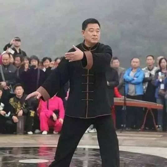 杨志芳（邯郸市武术协会杨式太极拳委员会主席）