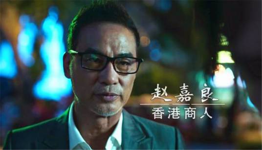 赵嘉良（网剧《破冰行动》中的主要人物）