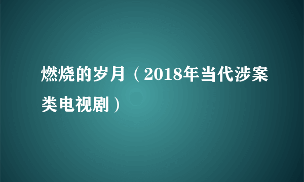 燃烧的岁月（2018年当代涉案类电视剧）