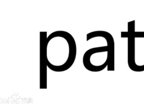 pat（过程行动小组）