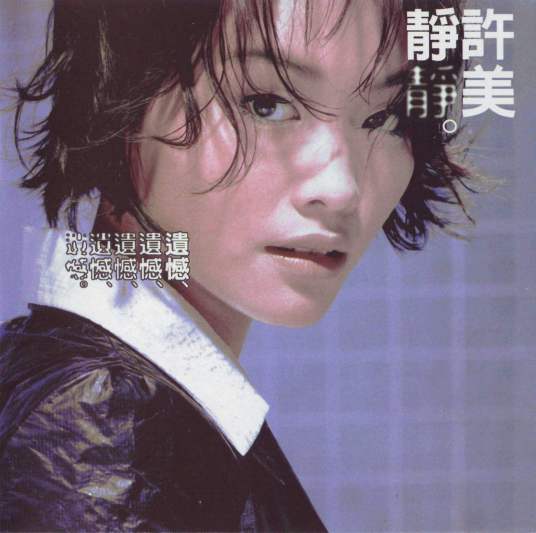遗憾（1995年新加歌手许美静专辑）