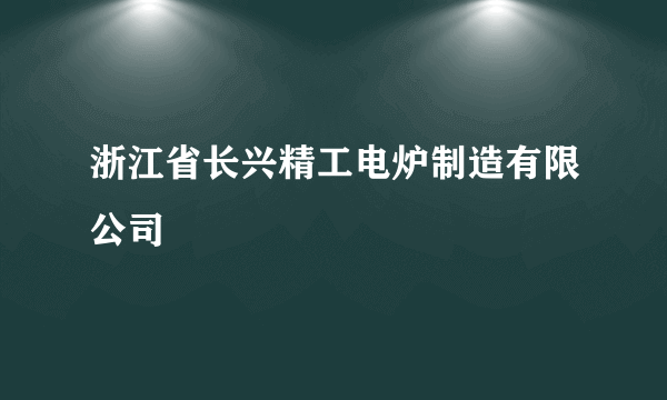 浙江省长兴精工电炉制造有限公司