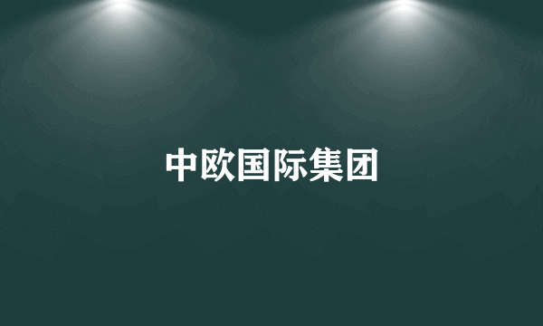 中欧国际集团