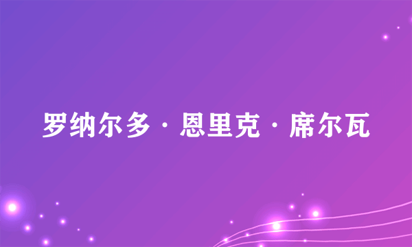 罗纳尔多·恩里克·席尔瓦