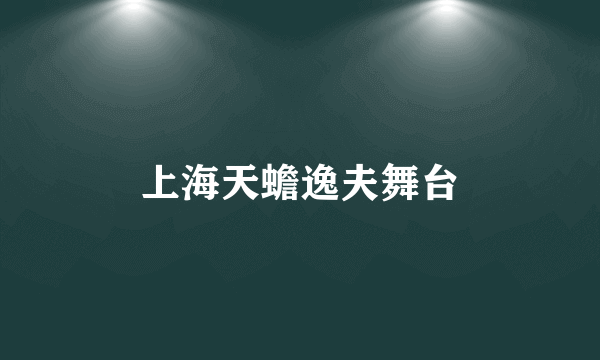 上海天蟾逸夫舞台