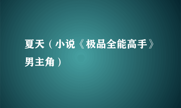 夏天（小说《极品全能高手》男主角）