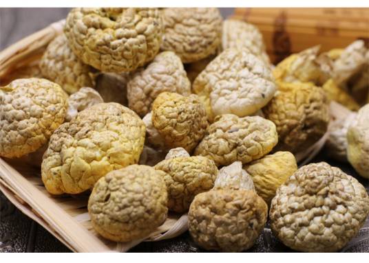 祁连黄菇