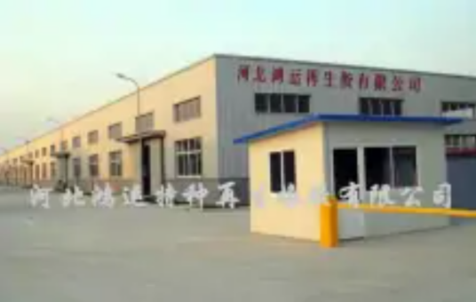 衡水市鸿运特种再生橡胶有限公司