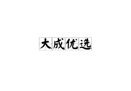 大成优选