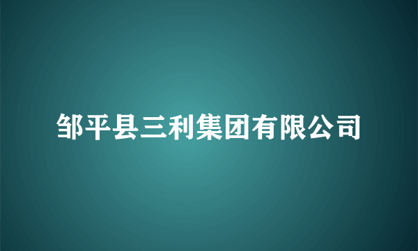 邹平县三利集团有限公司
