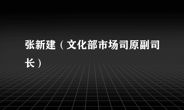 张新建（文化部市场司原副司长）