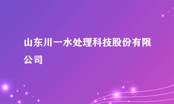 山东川一水处理科技股份有限公司