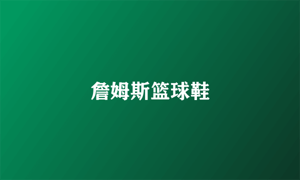 詹姆斯篮球鞋