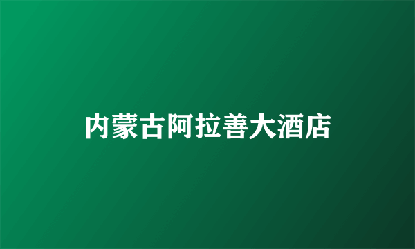 内蒙古阿拉善大酒店