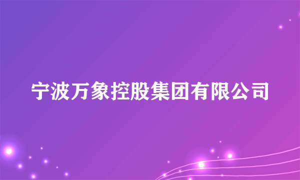 宁波万象控股集团有限公司
