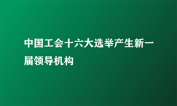 中国工会十六大选举产生新一届领导机构