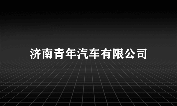 济南青年汽车有限公司