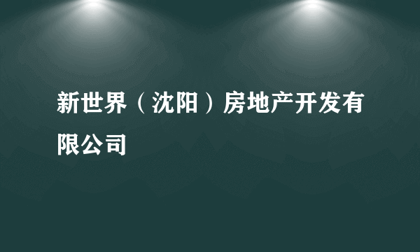 新世界（沈阳）房地产开发有限公司