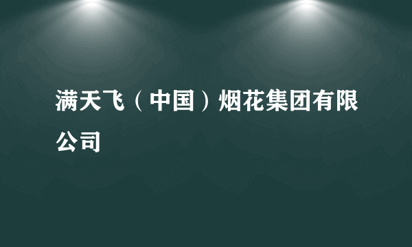 满天飞（中国）烟花集团有限公司