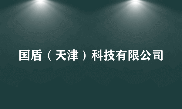 国盾（天津）科技有限公司