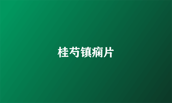 桂芍镇痫片