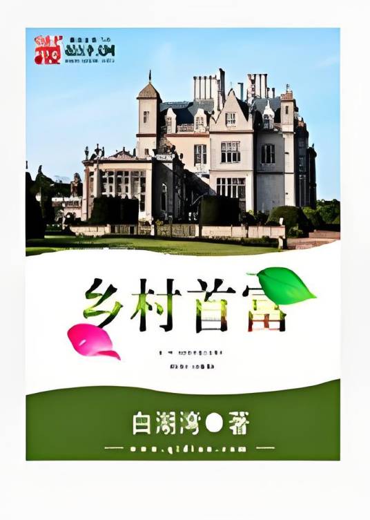乡村首富（白湖湾创作的网络小说）
