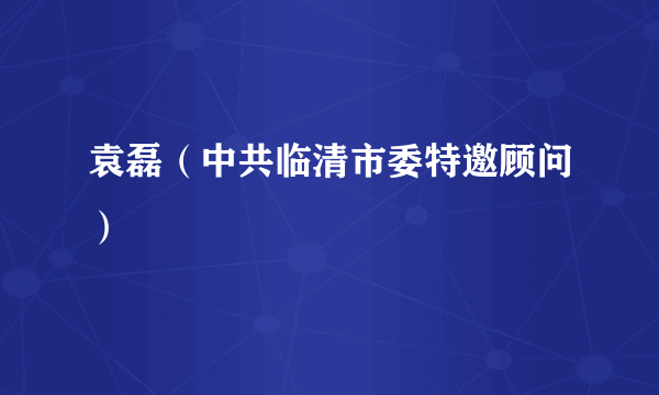 袁磊（中共临清市委特邀顾问）