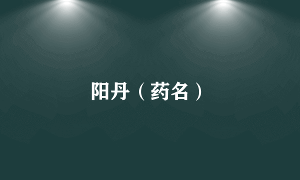 阳丹（药名）