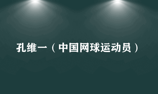 孔维一（中国网球运动员）