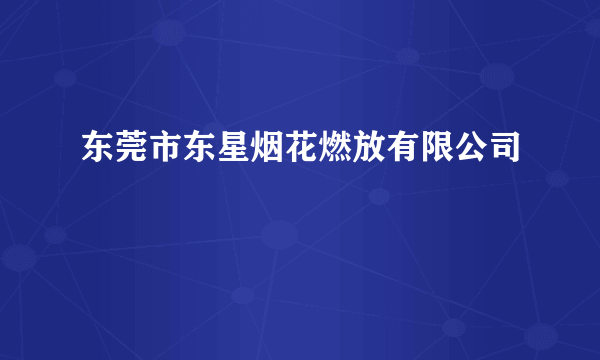 东莞市东星烟花燃放有限公司