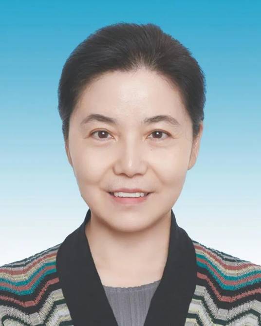 丁向群（第二十届中央委员，安徽省委常委、组织部部长）