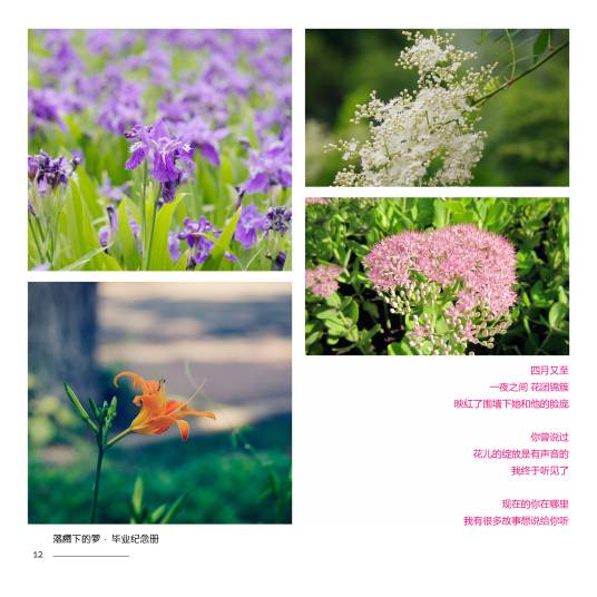 花开的声音（浅时光演唱歌曲）