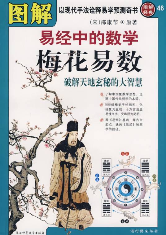 图解梅花易数：破解天地玄秘的大智慧