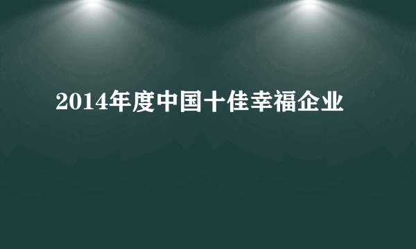 2014年度中国十佳幸福企业