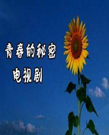青春的秘密（郭晓冬、主演的电视剧曾黎）