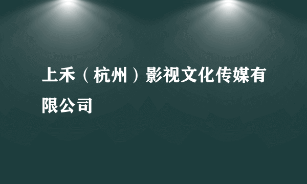 上禾（杭州）影视文化传媒有限公司