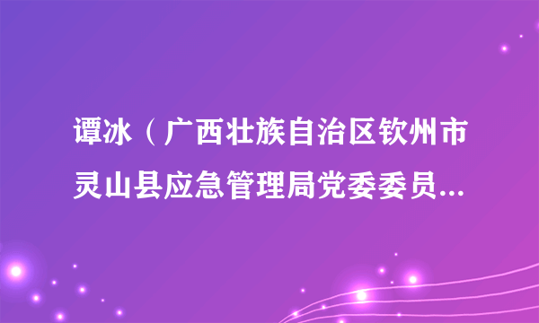 谭冰（广西壮族自治区钦州市灵山县应急管理局党委委员、副局长）
